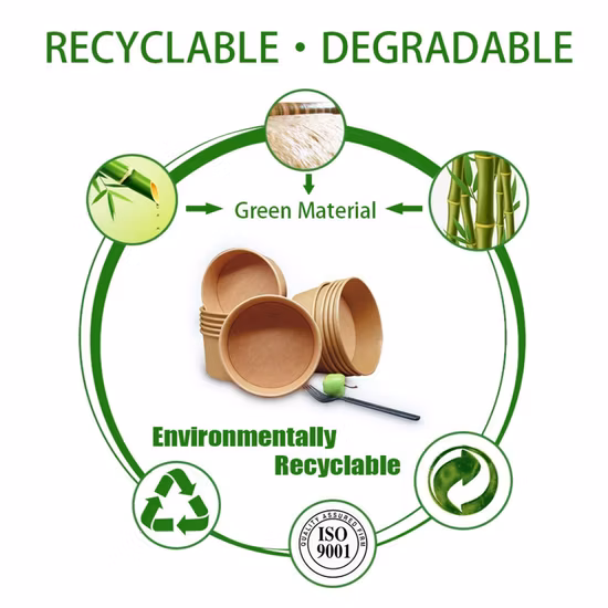 Cuenco de ensalada resistente al aceite amistoso al por mayor de la sopa del papel de Kraft del cuenco de arroz de Eco